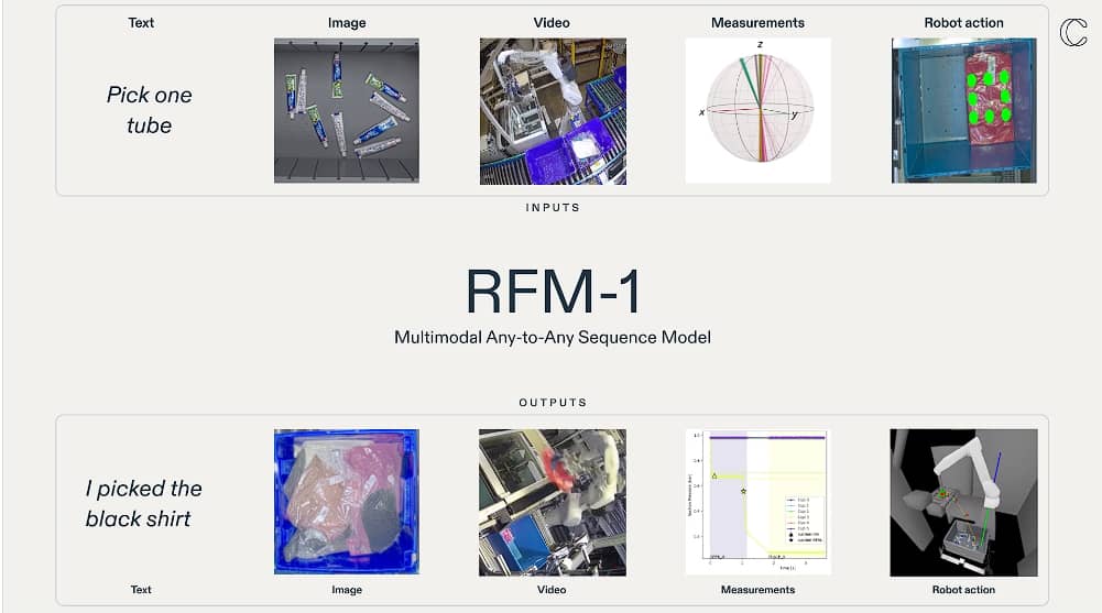 RFM-1 for Scene Analysis