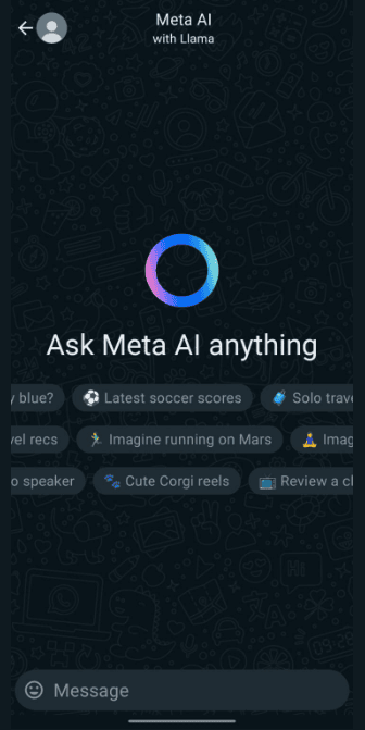 Meta AI Ask Anything