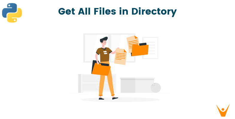 Get a List of All Files in a Directory with Python (with code)