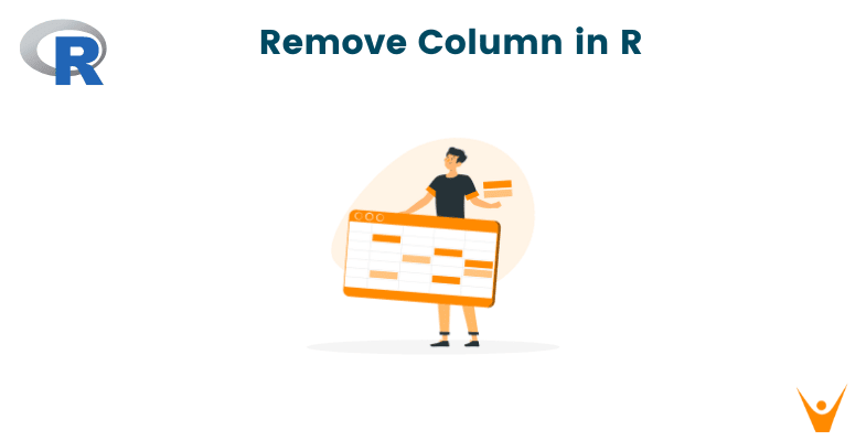 Remove Column in a DataFrame in R (with code)