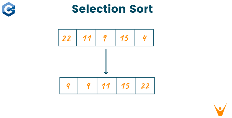 Selection Sort in C++: Example & Advantages (with code)