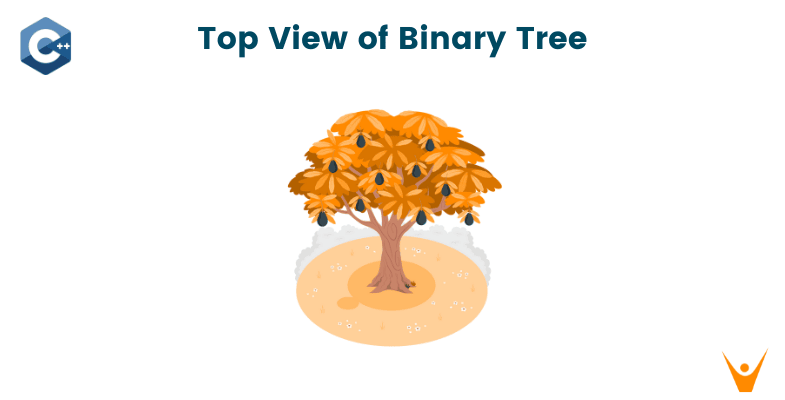 Print Top View of a Binary Tree (Algorithm with Code)
