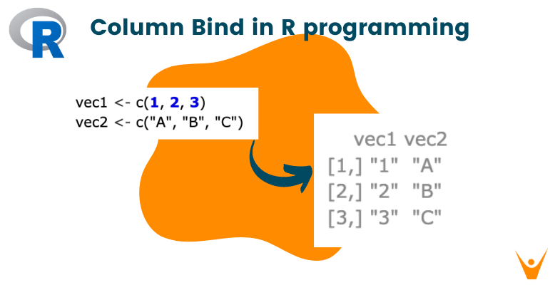 Column Bind (cbind()) in R programming