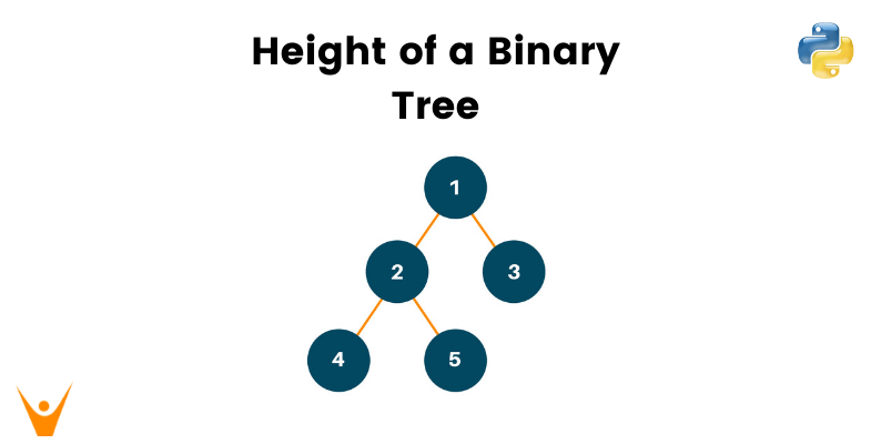Height of a Binary Tree (Python Code with example)