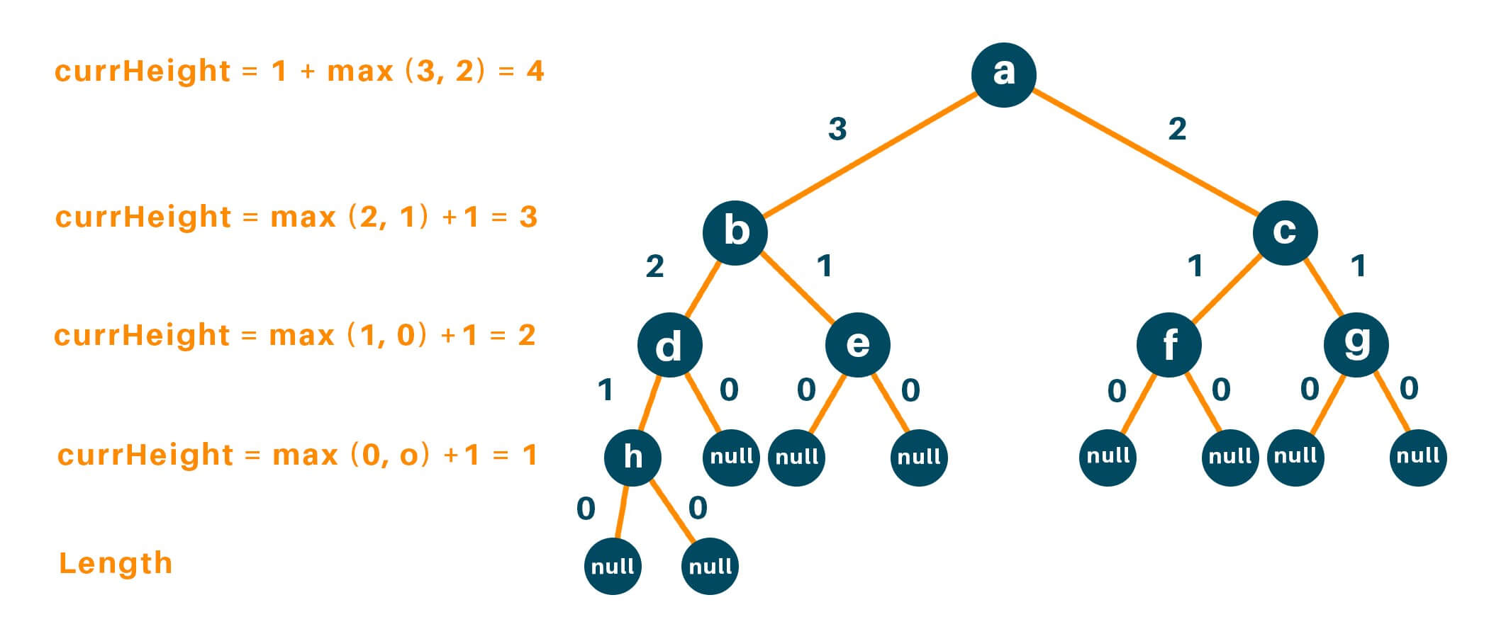 Depth first search algorithm in order to find height of a binary tree