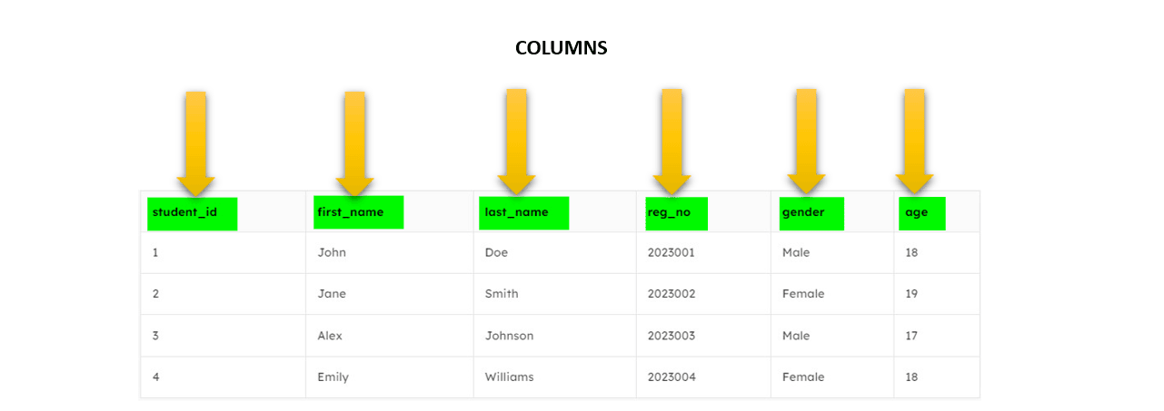 columns in SQL