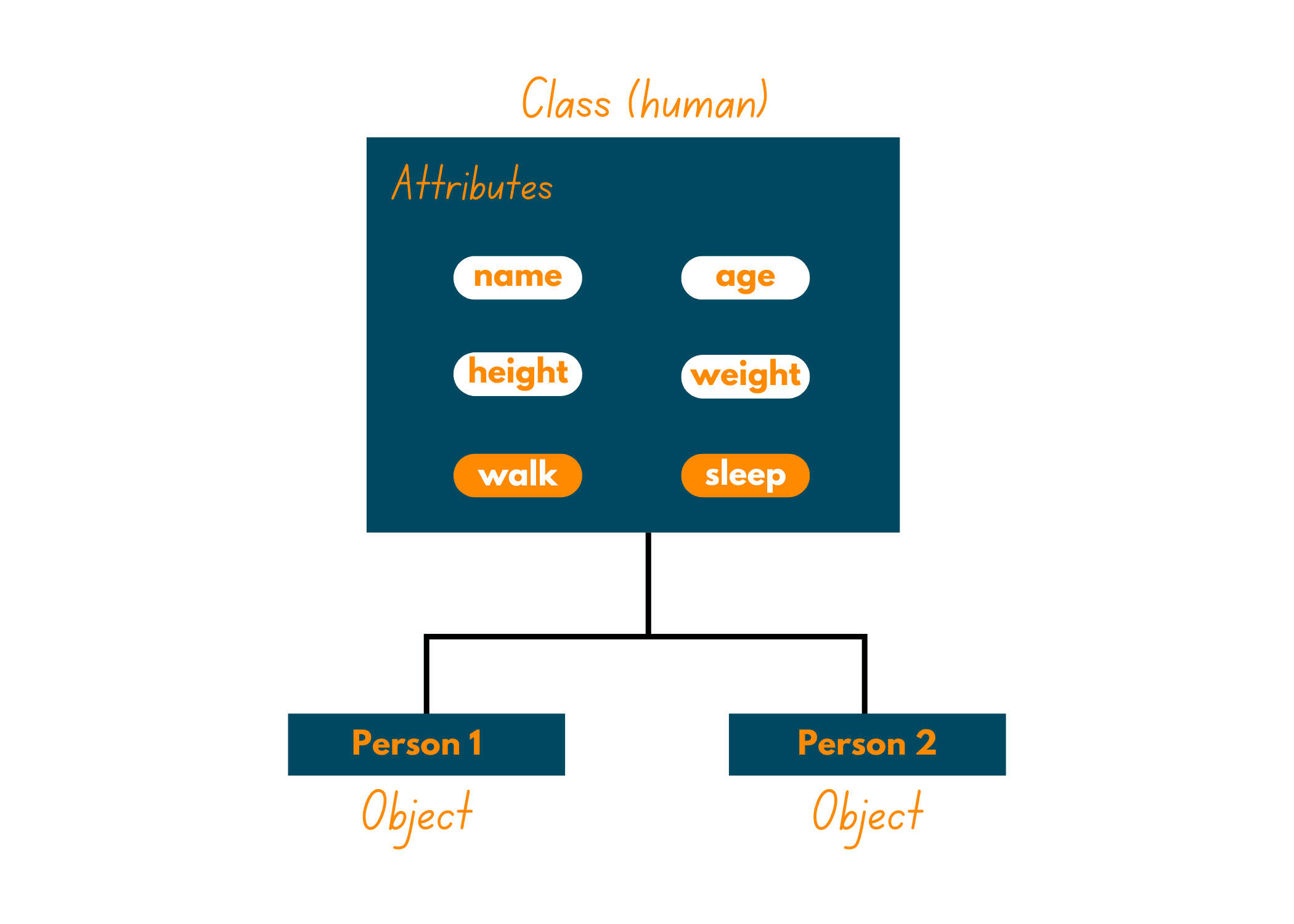 How To Print Object Attributes In Python with Code 