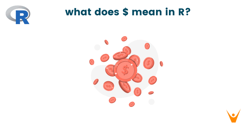 What does $ mean in R? (How to Use?)