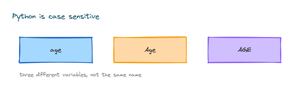 Diagram showing age, Age, and AGE are three different variables because Python is case sensitive