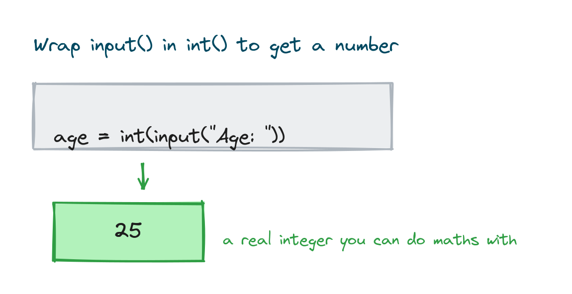 An input call wrapped in int so the returned text becomes a real integer you can do maths with