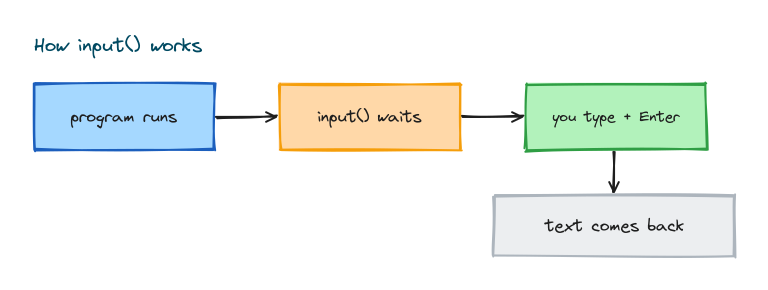 The flow of input: the program runs, input waits, the user types and presses Enter, and the text comes back