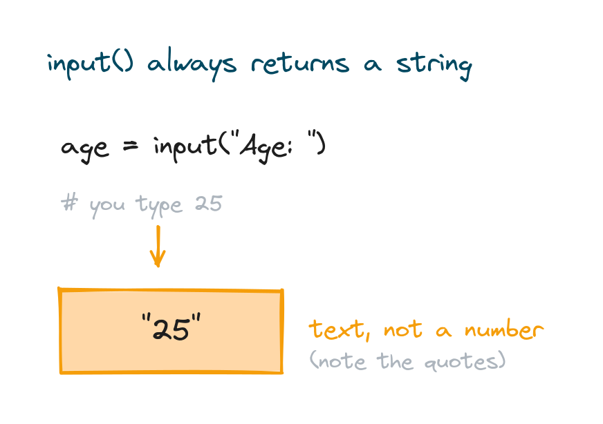 A user types 25 but input returns the text 25 in quotes, showing it is a string not a number